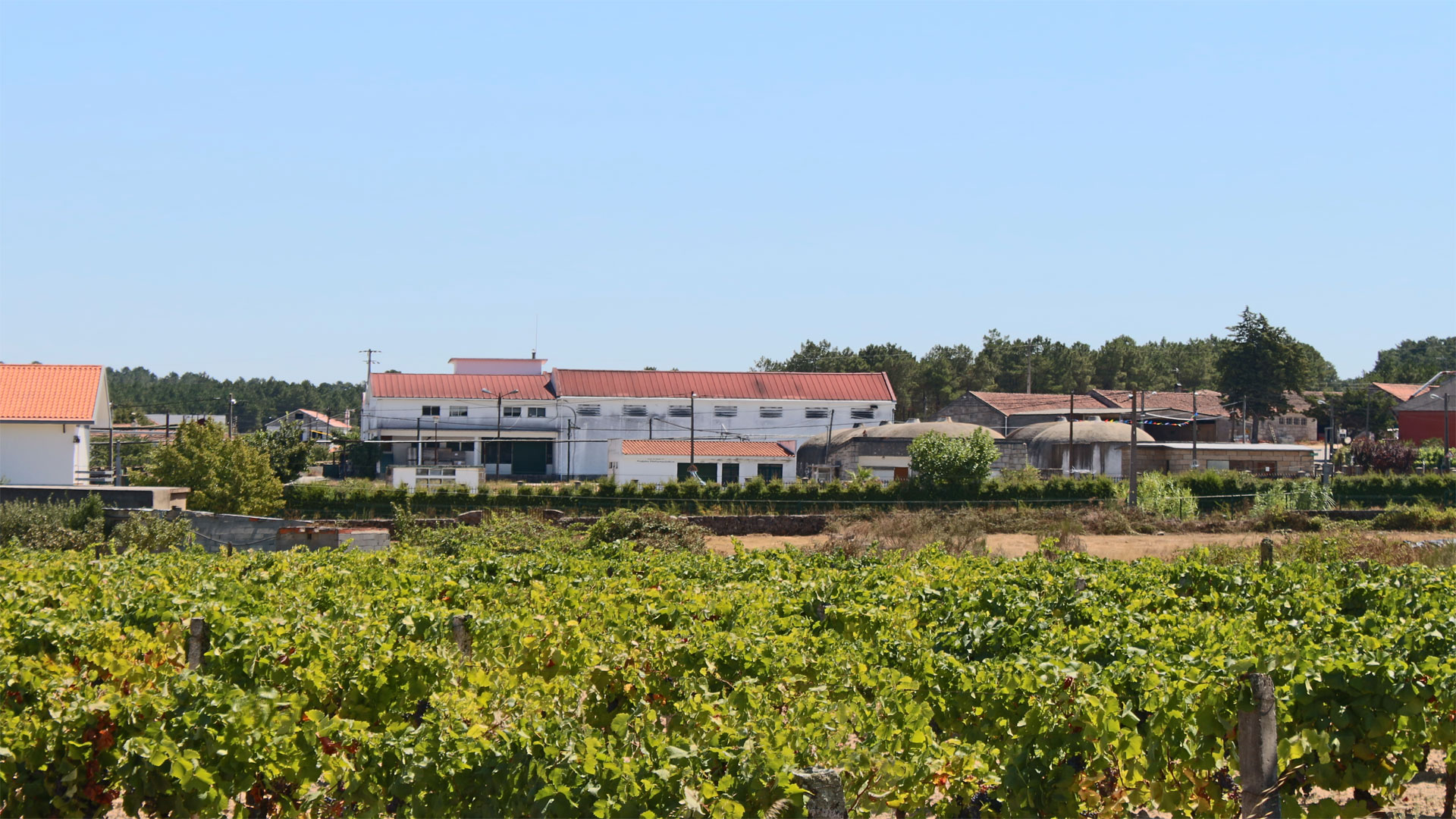 Beira Serra