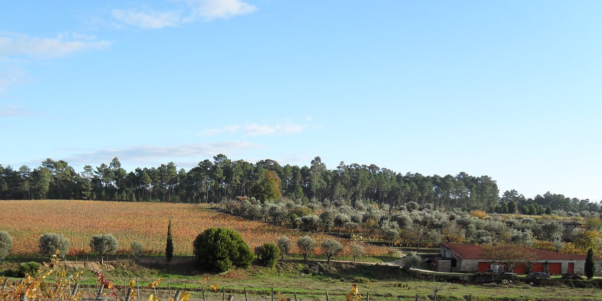 Quinta do Perdigão