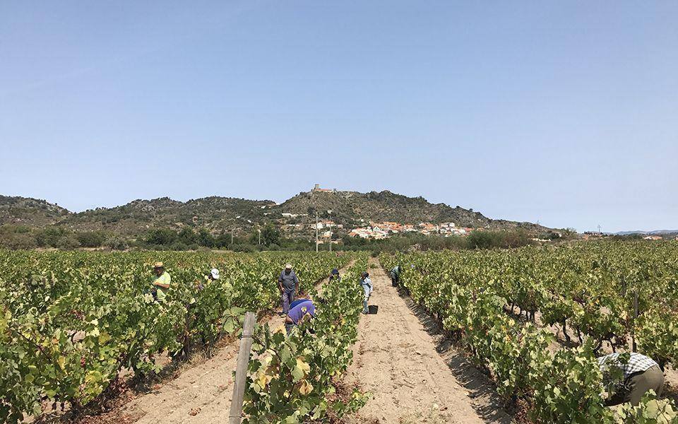 Quinta das Senhoras