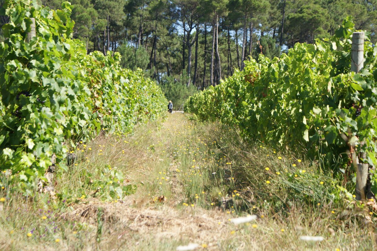 Quinta do Paitor